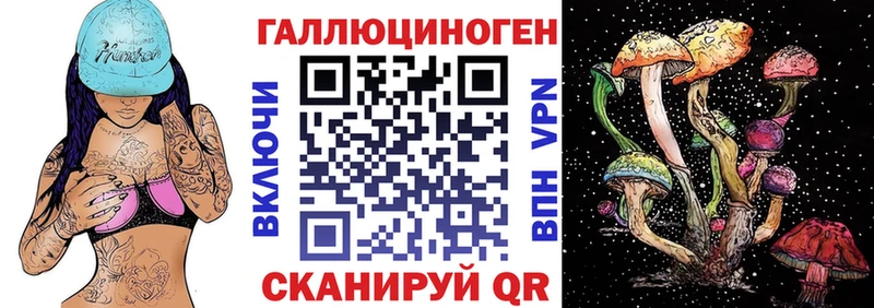 Псилоцибиновые грибы GOLDEN TEACHER  Купить  Анапа 